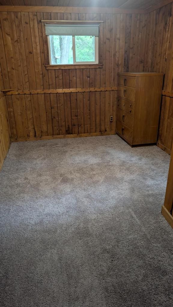 W4368 Clearwater Dr, Montello, WI 53949 - carpeted spare room featuring wooden walls
