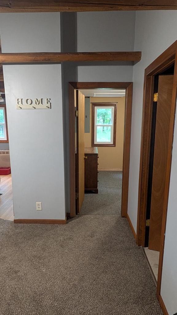 W4368 Clearwater Dr, Montello, WI 53949 - hallway featuring light colored carpet and electric panel