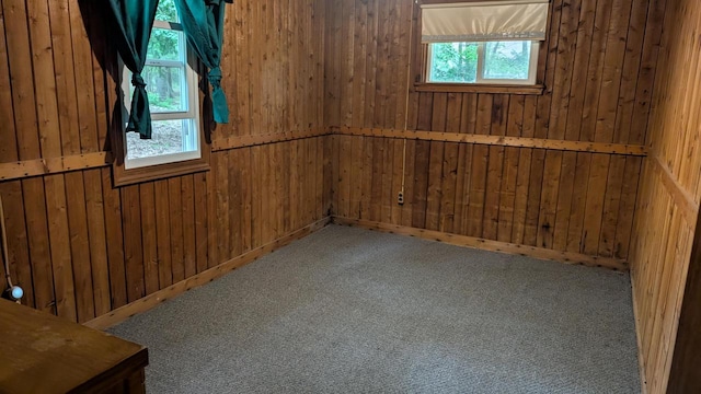 W4368 Clearwater Dr, Montello, WI 53949 - carpeted spare room featuring wood walls