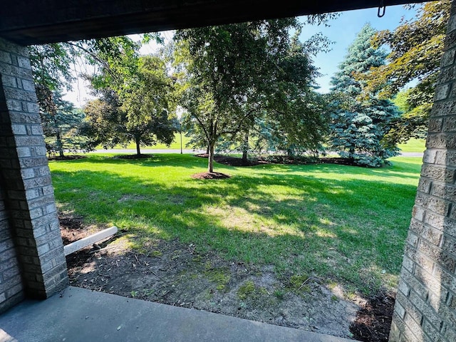 18740 Emerald Cir Unit D, Brookfield, WI 53045 - view of grassy yard