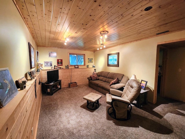 5872W Otter Ln, Winter, WI 54896 - living room featuring carpet floors and wooden ceiling