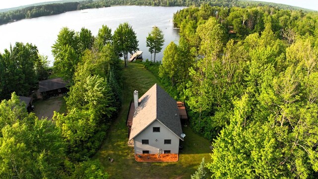 5872W Otter Ln, Winter, WI 54896 - drone / aerial view of a large body of water and a forest