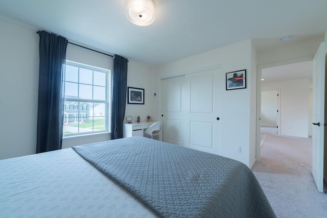 N56W24235 Torrey Pines Ln, Sussex, WI 53089 - bedroom featuring light carpet and a closet