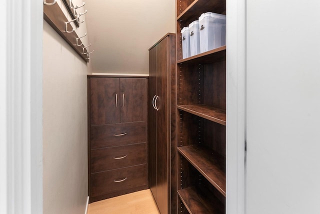 1541 N Jefferson St Unit 408, Milwaukee, WI 53202 - spacious closet with light wood-style floors