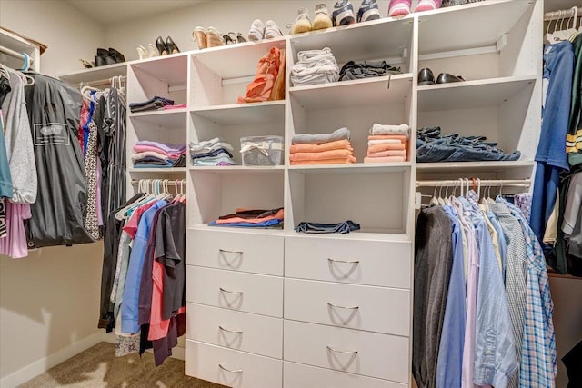 3007 Mourning Dove Dr, Cottage Grove, WI 53527 - walk in closet featuring carpet floors