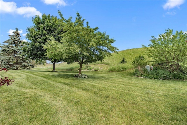 677 Wood River Ct, West Bend, WI 53095 - view of green lawn