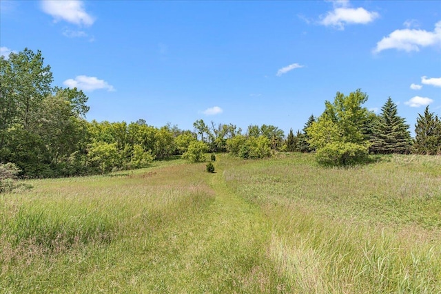677 Wood River Ct, West Bend, WI 53095 - view of local wilderness