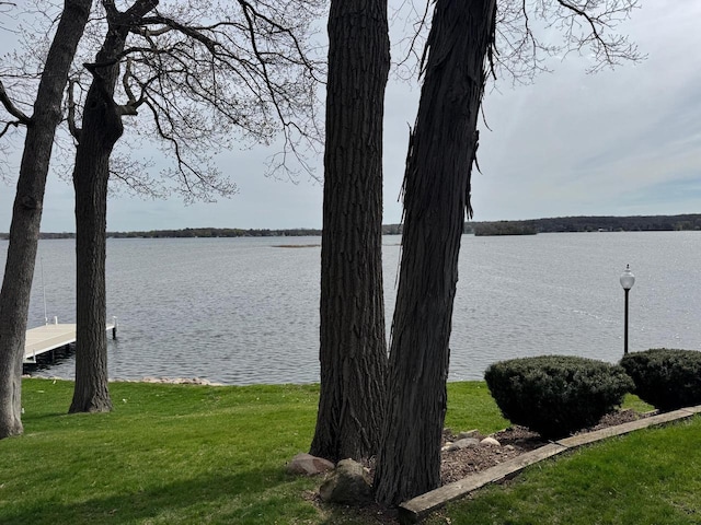 900 Hawks Holw, Delafield, WI 53018 - water view