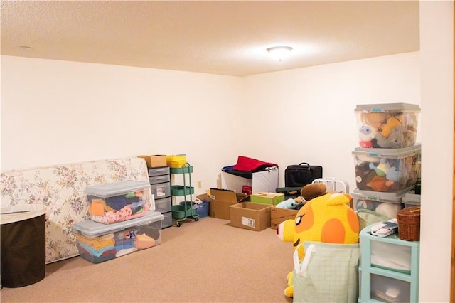 3215 Craig Rd Unit 3215, Eau Claire, WI 54701 - view of storage room