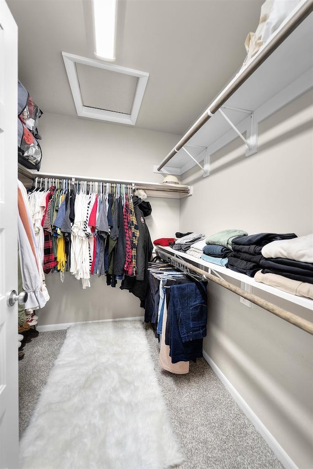 405 Blue Moon Dr, Verona, WI 53593 - spacious closet featuring attic access and carpet flooring