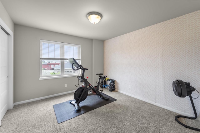 405 Blue Moon Dr, Verona, WI 53593 - exercise room with carpet floors