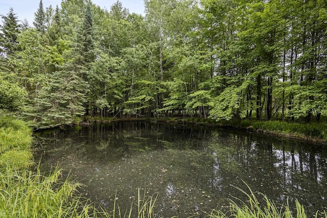 175 Old Wausau Rd, Stevens Point, WI 54481 - water view with a forest