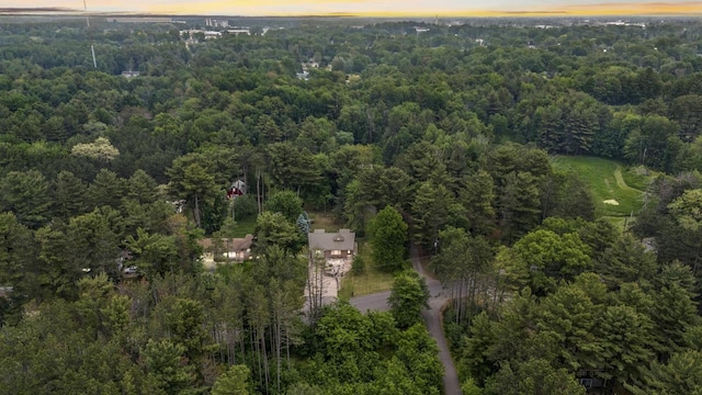 175 Old Wausau Rd, Stevens Point, WI 54481 - aerial view at dusk of a wooded view