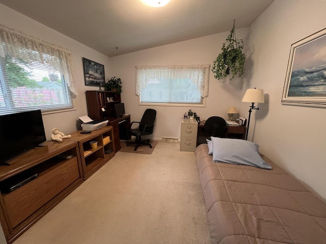 1011 19th Ave S, Wisconsin Rapids, WI 54495 - office with vaulted ceiling and carpet flooring