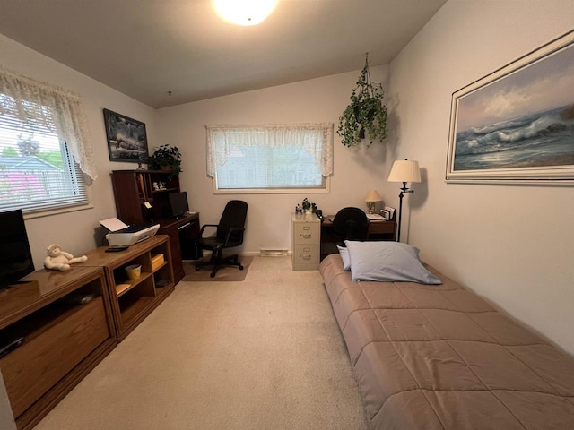 1011 19th Ave S, Wisconsin Rapids, WI 54495 - carpeted bedroom featuring lofted ceiling and an office area