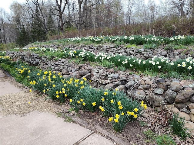 5342 W County Highway F, Trego, WI 54888 - view of yard