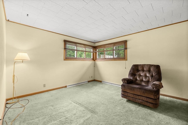 2908 Prais St, Stevens Point, WI 54481 - unfurnished room with a baseboard heating unit, carpet floors, and ornamental molding