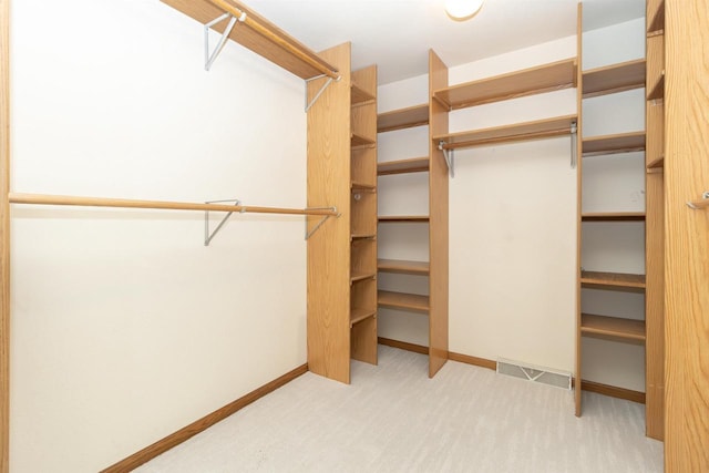 N2559 Pleasant View Ln, Waupaca, WI 54981 - walk in closet with carpet floors