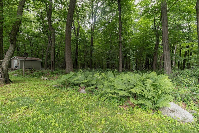 N2559 Pleasant View Ln, Waupaca, WI 54981 - view of yard featuring a storage shed and a view of trees