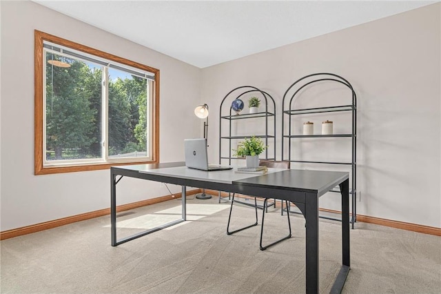 3203 Canterbury Cir, Saint Paul, MN 55125 - office space featuring carpet flooring and baseboards
