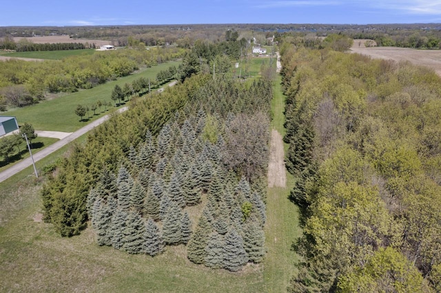 W6815 N Walworth Rd, Walworth, WI 53184 - drone / aerial view