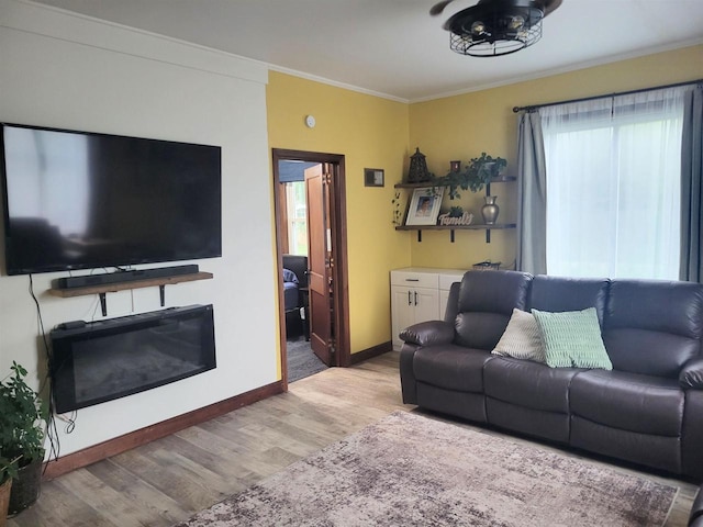 1425 Rogers St, Stevens Point, WI 54481 - living room with wood finished floors and ornamental molding