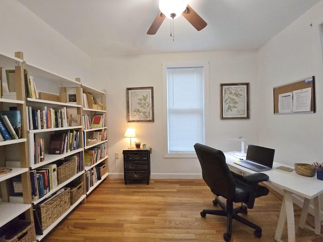 1716 Oak St, Stevens Point, WI 54481 - office with wood finished floors and ceiling fan