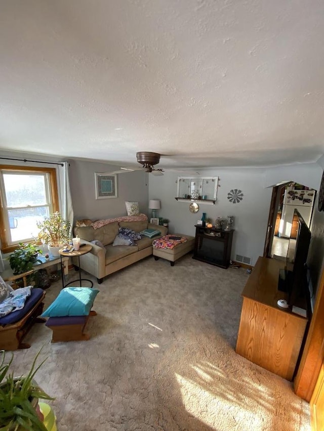 3151 Reddin Rd, Wisconsin Rapids, WI 54495 - living area with a ceiling fan and carpet floors