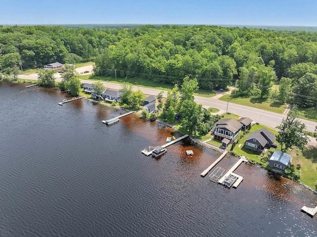 11975 E Anderson Lake Dr, Suring, WI 54174 - bird's eye view of a nearby body of water
