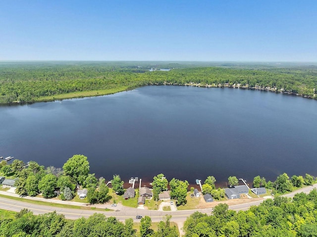 11975 E Anderson Lake Dr, Suring, WI 54174 - aerial view of a forest and a nearby body of water