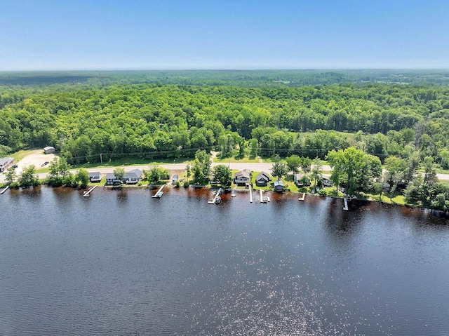 11975 E Anderson Lake Dr, Suring, WI 54174 - bird's eye view of a forest and a large body of water