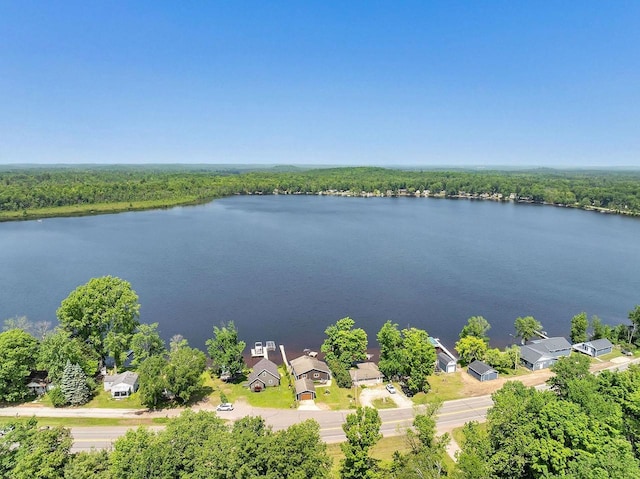 11975 E Anderson Lake Dr, Suring, WI 54174 - bird's eye view of a nearby body of water and a heavily wooded area