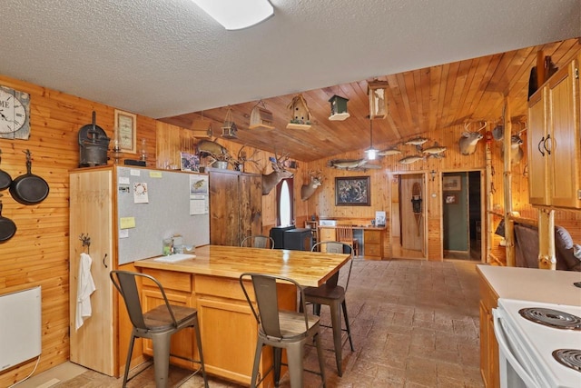 7454 State Highway 186, Arpin, WI 54410 - kitchen with wood walls, brick floors, white electric range oven, vaulted ceiling, and butcher block countertops