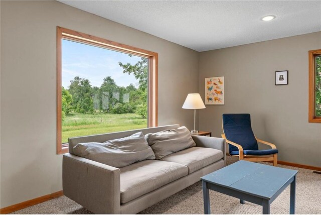 1231 135th St, Amery, WI 54005 - living room featuring healthy amount of natural light, carpet flooring, and recessed lighting