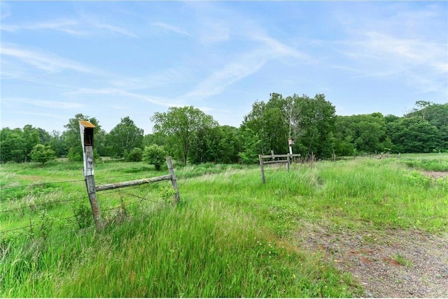 1231 135th St, Amery, WI 54005 - view of yard featuring a view of rural / pastoral area and a view of trees