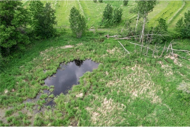 1231 135th St, Amery, WI 54005 - aerial view of property's location