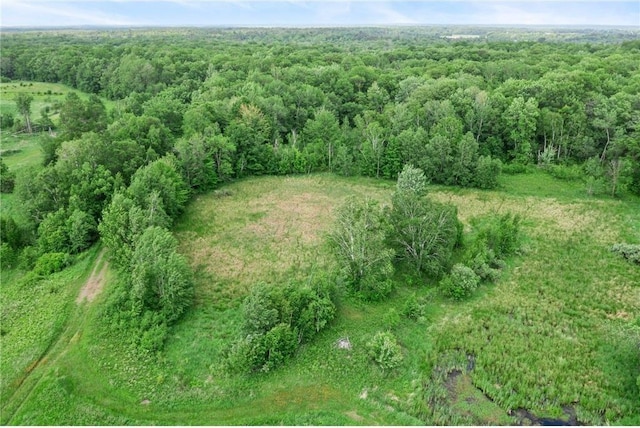1231 135th St, Amery, WI 54005 - view of property location featuring a heavily wooded area
