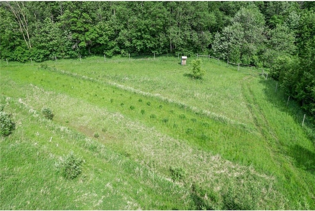 1231 135th St, Amery, WI 54005 - view of yard