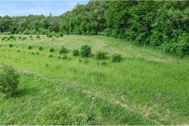 1231 135th St, Amery, WI 54005 - view of tree filled area with a view of rural / pastoral area