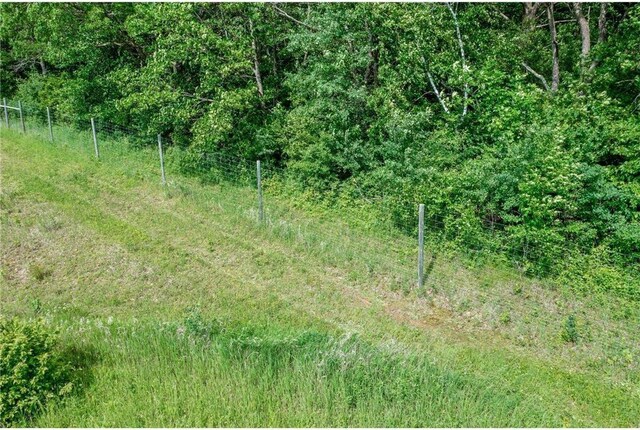 1231 135th St, Amery, WI 54005 - view of nature