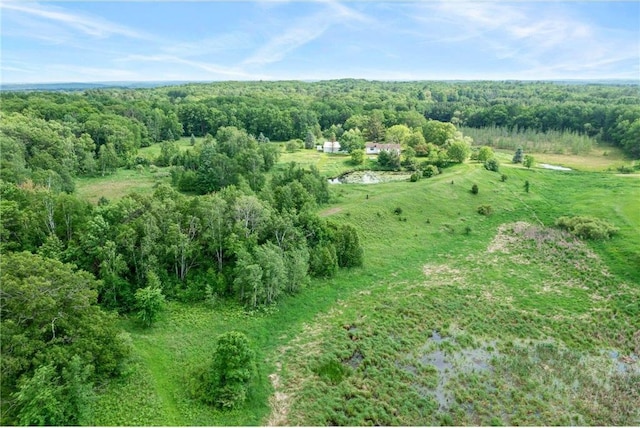 1231 135th St, Amery, WI 54005 - aerial view of property's location featuring a forest and rural landscape