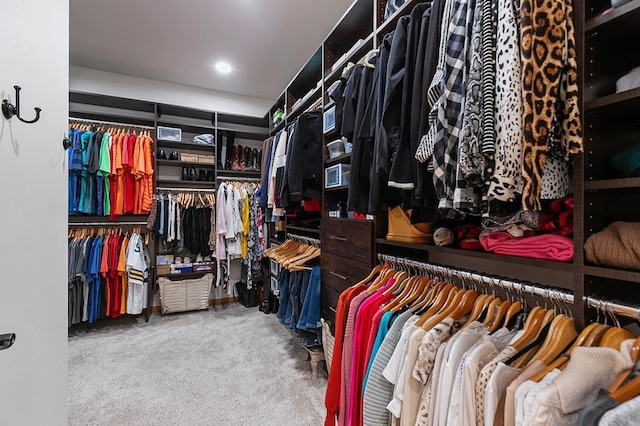 4140 N Prairie Rose Ln, Appleton, WI 54913 - walk in closet with carpet