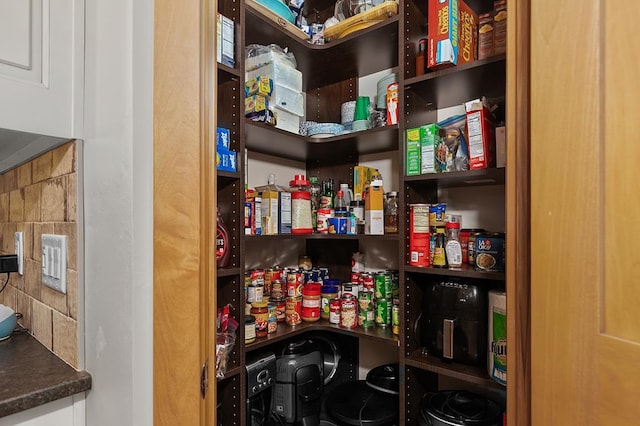 4140 N Prairie Rose Ln, Appleton, WI 54913 - view of pantry