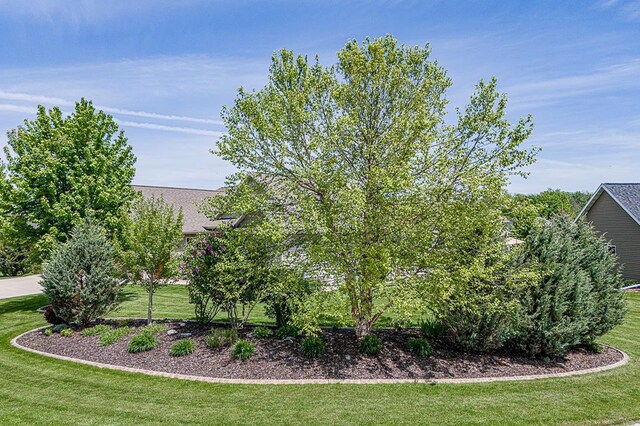 4140 N Prairie Rose Ln, Appleton, WI 54913 - view of green lawn