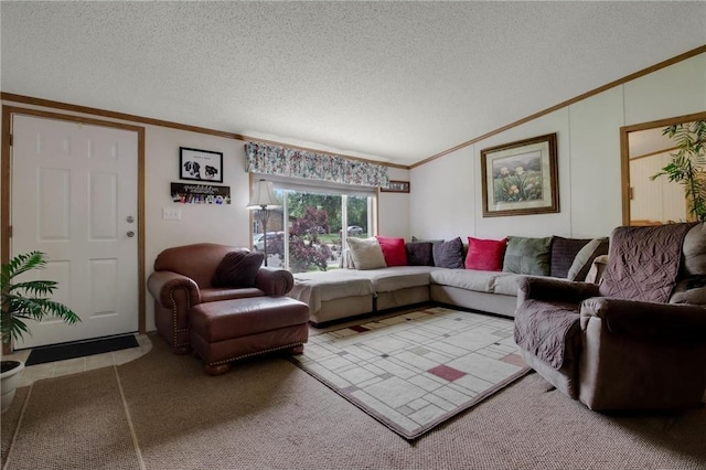 635 S 6th St, Barron, WI 54812 - living room featuring crown molding, a textured ceiling, lofted ceiling, and carpet flooring