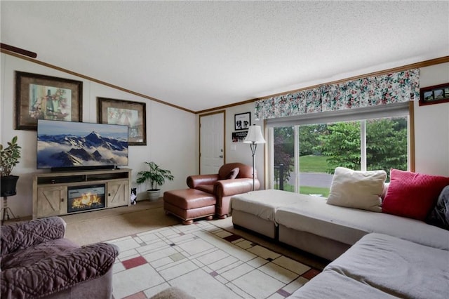 635 S 6th St, Barron, WI 54812 - living room featuring ornamental molding, a textured ceiling, a fireplace, and lofted ceiling