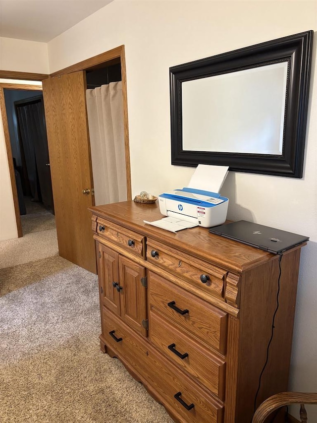 N3911 Lakeside Ln, Wautoma, WI 54982 - detailed view of carpet flooring