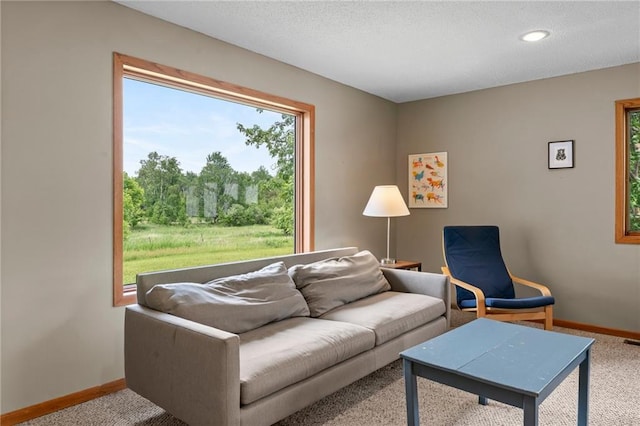 1231 135th St, Amery, WI 54001 - carpeted living area featuring a textured ceiling and recessed lighting