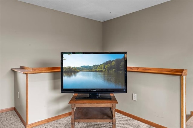 1231 135th St, Amery, WI 54001 - detailed view of baseboards and carpet