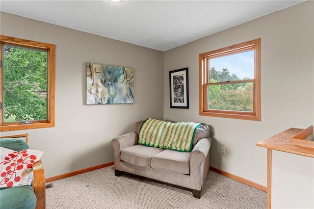 1231 135th St, Amery, WI 54001 - sitting room featuring carpet